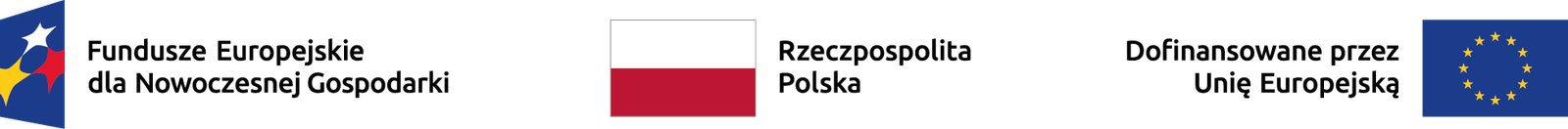Fundusze Europejskie dla Nowoczesnej Gospodarki · Rzeczpospolita Polska · Dofinansowane przez Unię Europejską